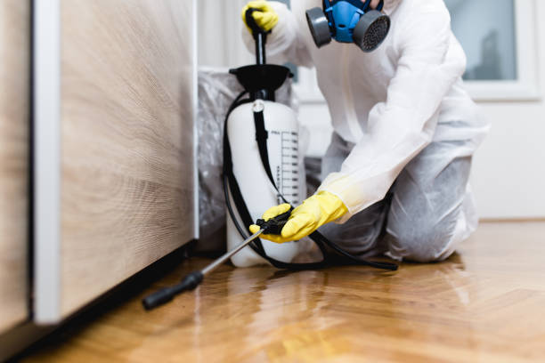 Best Local Pest Control Services  in Murfreesboro, NC