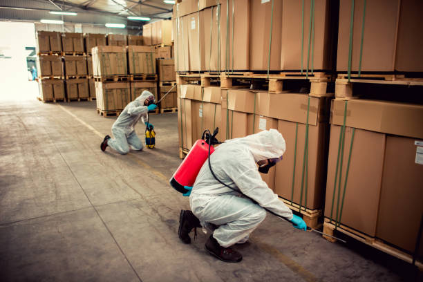 Best Rat Extermination Near Me  in Murfreesboro, NC