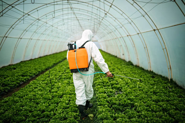 Best Residential Pest Control  in Murfreesboro, NC
