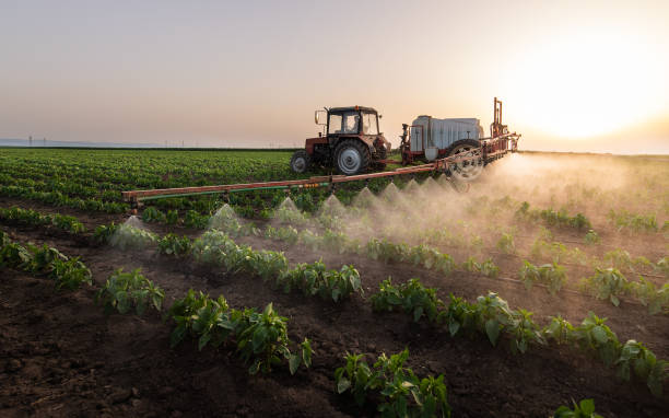 Professional Pest Control in Murfreesboro, NC