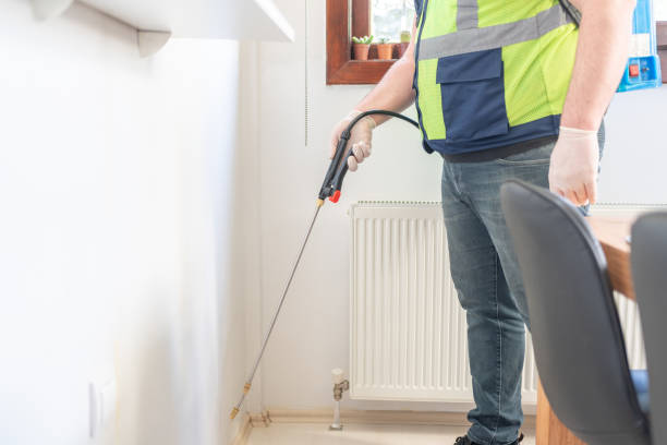 Best Wasp Removal Services  in Murfreesboro, NC