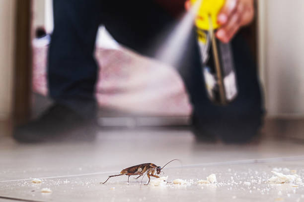 Best Best Pest Control Companies  in Murfreesboro, NC