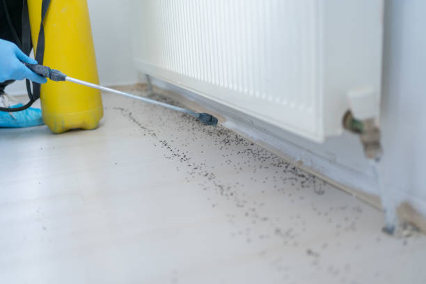 Best Exterminator Services  in Murfreesboro, NC
