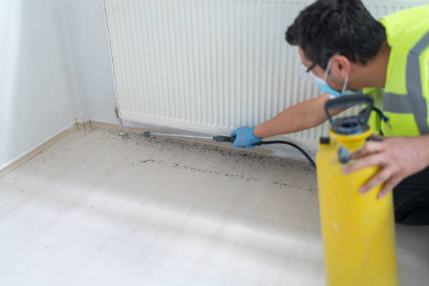 Best Affordable Pest Control Services  in Murfreesboro, NC